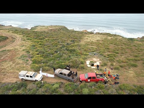 Alta probabilidad de que cuerpos hallados en México sean de surfistas de EEUU y Australia | AFP