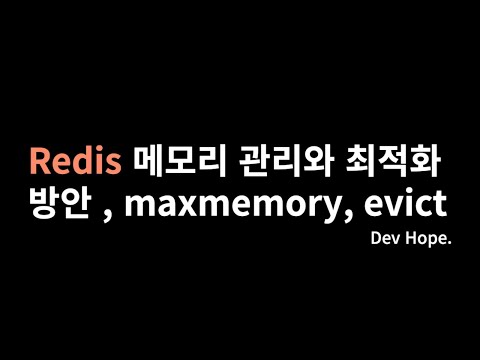 Redis 메모리 관리와 최적화 방안