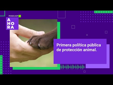 Avance histórico para la protección y bienestar animal en Cundinamarca | 15/02/2024