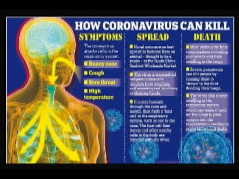 WHO: Caribbean At High Risk For Coronavirus