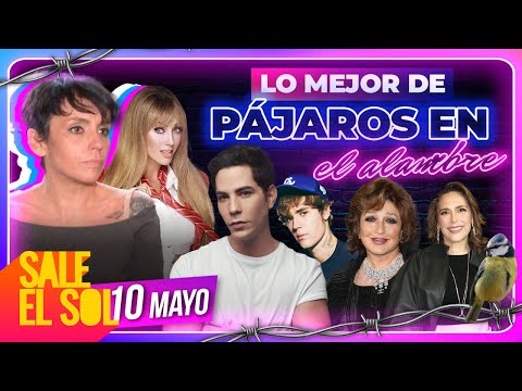 RBD, Mayela Laguna, Angelica María, Justin Bieber | Lo Mejor de Pájaros en el Alambre 10/05/24