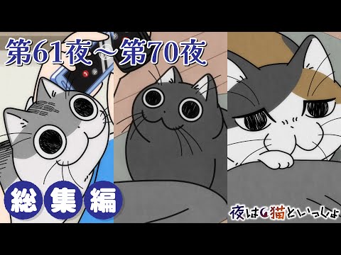 猫の動画サムネイル - アニメ『夜は猫といっしょ』×10！【第61夜～第70夜まとめ】