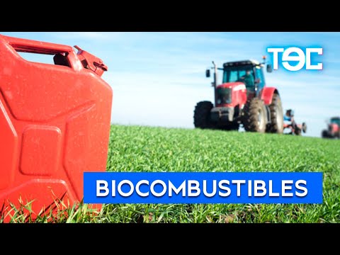¿QUÉ SON LOS BIOCOMBUSTIBLES?