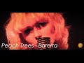 Barerra - Peach Trees (Music... bilde