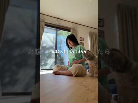 妊娠中の起き上がり方
