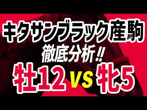 【キタサンブラック産駒徹底分析】価格高騰の中で勝ち筋を見つける方法とは？