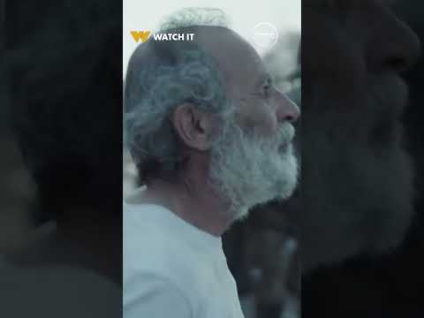 مهما حصل مش بيخافوا منهم وديما راسهم مرفوعة ✌️