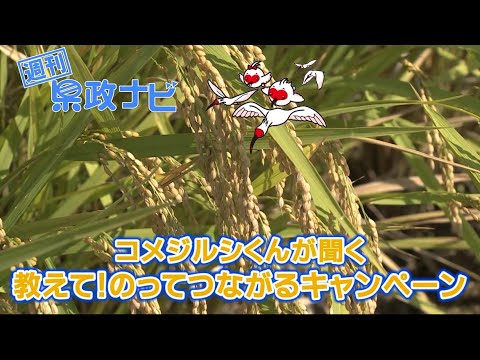 コメジルシ君が聞く 教えて！のってつながるキャンペーン｜週刊 県政ナビ 令和7年11月9日放送