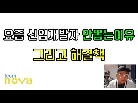 요즘 신입 개발자 안뽑는 이유와 해결책