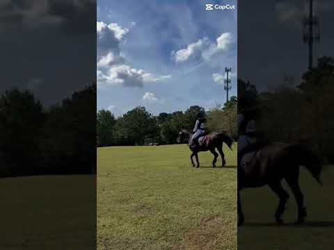 His little jig😂 #horse #horseenthusiast #equestrian #crosscountry #blowthisaccountup