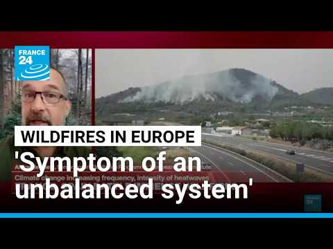 'Unprecedented but unsurprising': Climate change & lack of prevention behind wildfires, extreme heat