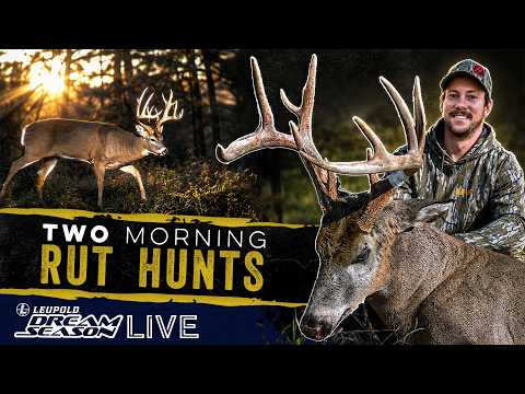 November Success: Iowa Rut Rewind | Dream Season Live