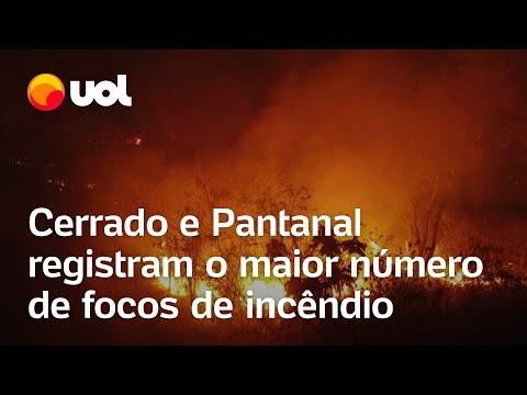 Incêndio no Pantanal é o maior já registrado; fogo consumiu cerca de 600 mil hectares; veja vídeo