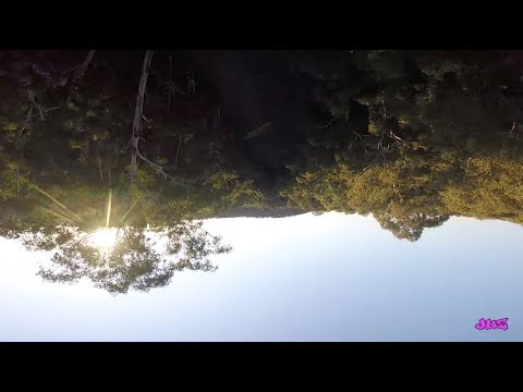 FPV - without a care
