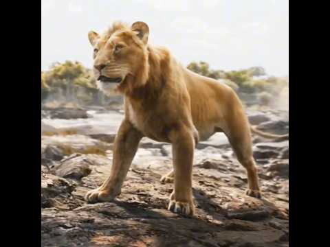 MUFASA × Memory Reboot ⚜️ | #lion #disney #shorts