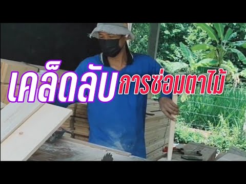 เคล็ดลับซ่อมตาไม้ด้วยลิ่ม เคล็ดลับซ่อมตาไม้ด้วยลิ่ม