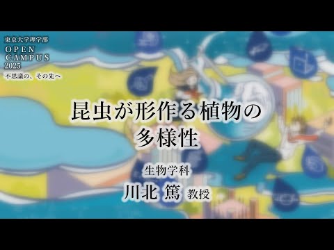 東京大学理学部オープンキャンパス2025 講演「昆虫が形作る植物の多様性」川北篤教授