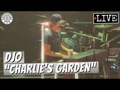 Djo "Charlie's Garden" LIVE