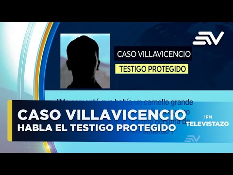 Caso Villavicencio: Fiscal habló sobre la versión del testigo protegido  | Televistazo | Ecuavisa