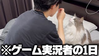 動画サムネイル