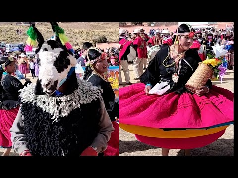 Lakitas de Titikani Kallamarka - Laja, una hermosa danza originaria de la provincia Los Andes.