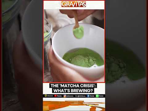 Why Are Matcha Lovers Turning Against Each Other? | Gravitas
