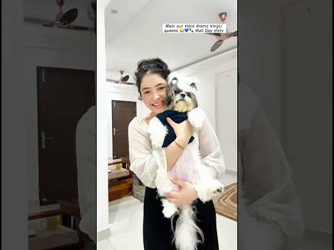 Mission Mall Day 💙🐾 | Funny & Cute Mini Vlog 🐶 #ytshorts #pets #dogshorts #minivlog #petlover