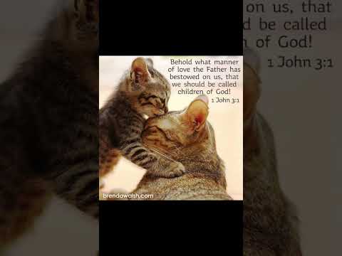 #gospelmusic #worshipmusic #christianmusic #love #cat #christiansongs #dailybibleverse #cute