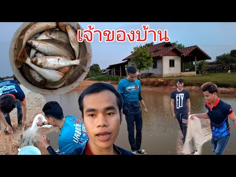 เจ้าของบ้านมาเอาปลาในหนองบ่าวเ