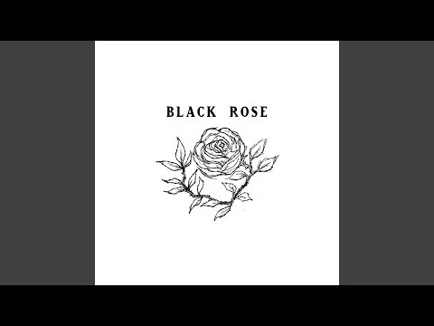 <strong>Black</strong> Rose