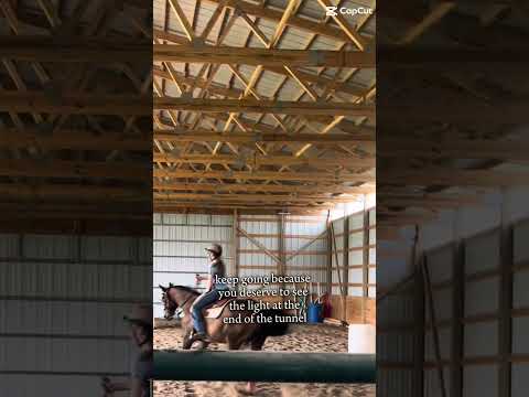#horse #equestrianjourney #horseenthusiast #stopanimalabuse #equestrian #horsefan #horsegirl #rodeo