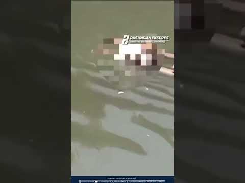Viral M*y*t Bayi Mengambang di Sungai Citepus Bandung #bandung #infobandung #shorts #viral
