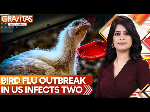 First Animals, Now Humans: Bird Flue Cases On Rise | World News | GRAVITAS