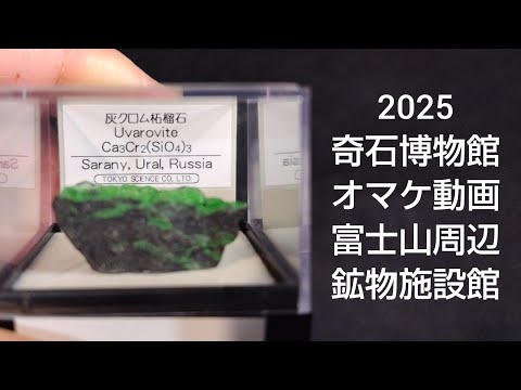 2025奇石博物館 福袋開封後のおまけ動画