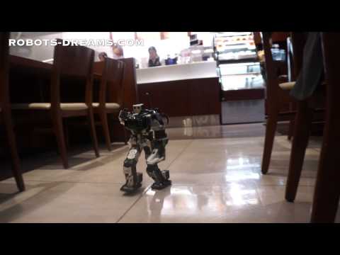 Thunderbolt Robot Unique Walking Gait