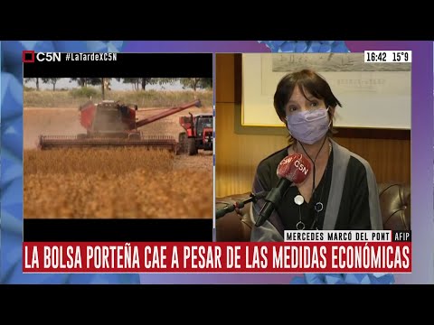 Entrevista a Mercedes Marcó del Pont en LaTardexC5N