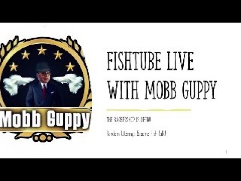 FISHTUBE LIVE - RANDOM UTTERINGS FROM A FISH KEEPE Mobb Guppy’s Fish Demand Views.  Please Subscribe, RING THAT BELL, Comment, Like and Share.  It’