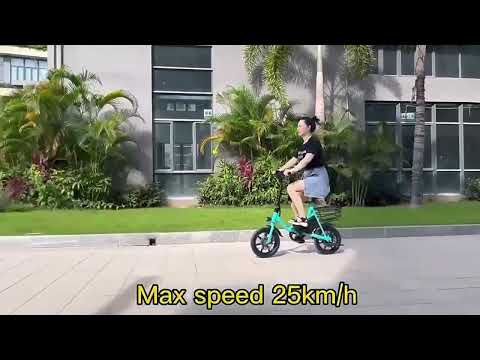14 Inch Portable Adult E-Bikes