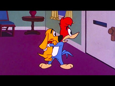 Woody’s Dog Gets Stolen! | Woody Woodpecker