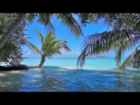 Einschlafmusik - Flöte, Meer und die Vögel - Entspannungsmusik