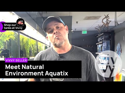 Meet NATURAL ENVIRONMENT AQUATIX_ Ronnie show us a Meet Natural Environment Aquatix, a Vivvy seller. Ronnie and his team of aquarium hobbyists offer an