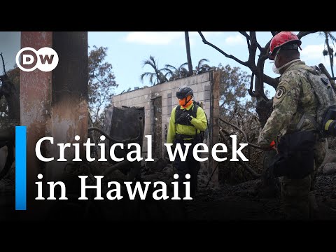 Over 1000 people still unaccounted for in Hawaii I DW News