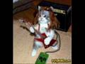 xxFatCatsRockxx