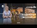 ماذا حدث لملوك الغابة داخل حديقة صنعاء؟ | كومنت