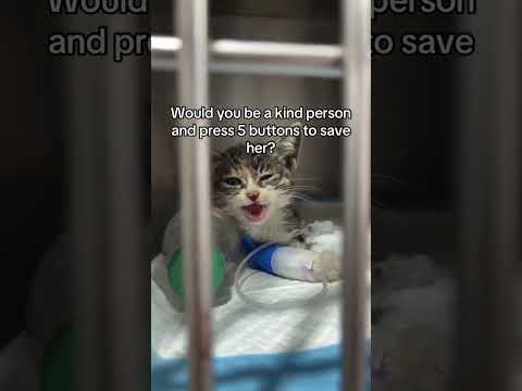 Please keep this <strong>precious</strong> baby in your prayers!