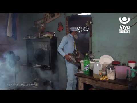 Fumigan viviendas del barrio Santo Domingo para eliminar al mosquito