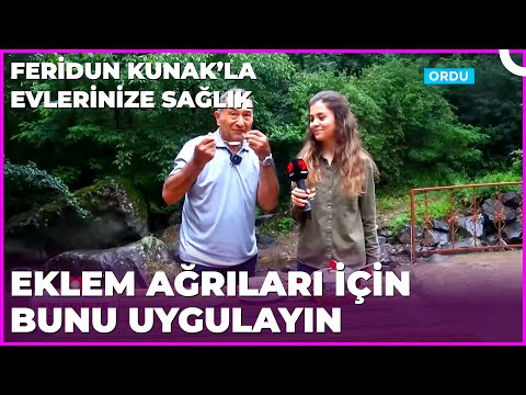 Dirsek, Bilek ve Bel Ağrısına İyi Gelecek Şifalı Bitki | Dr. Feridun Kunak’la Evlerinize Sağlık