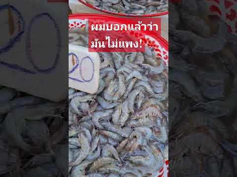 กุ้งขาวใหญ่ใช้ตกปลาราคาไม่แพง