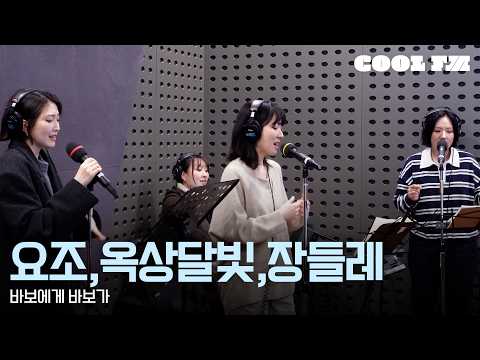 쿨룩 LIVE ▷ 요조, 옥상달빛, 장들레 ‘바보에게 바보가’ (원곡:박명수) / [박명수의 라디오쇼] | KBS 260218 방송