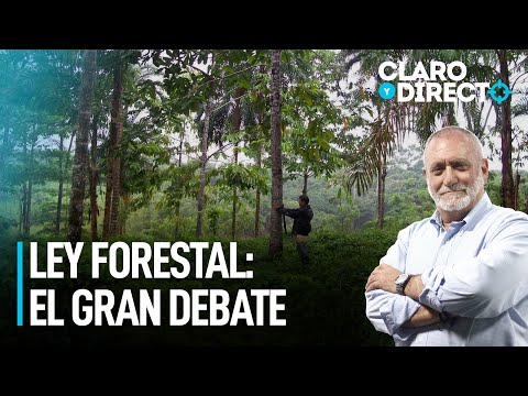 Ley forestal: el gran debate | Claro y Directo con Álvarez Rodrich